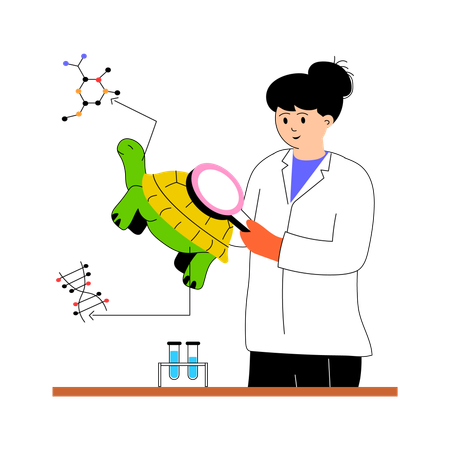 Bióloga investiga sobre tortugas  Ilustración