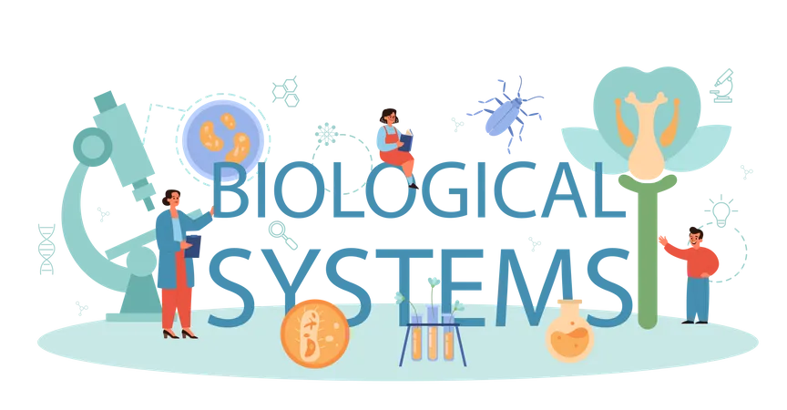 Biological system Illustration