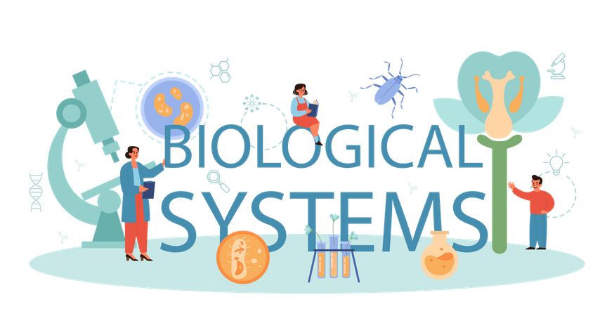 Biological system  Illustration