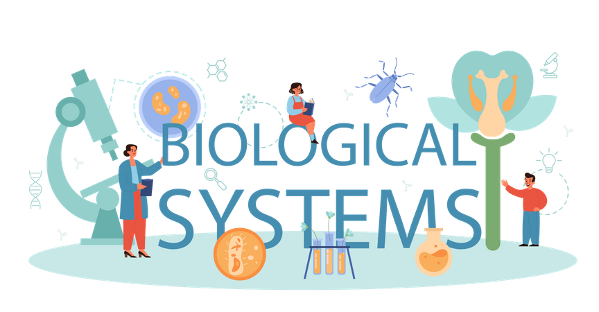 Biologisches System  Illustration
