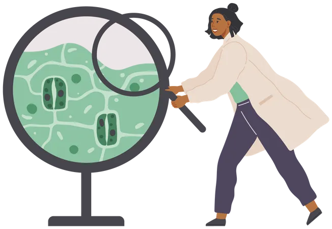Scientist Makes New Decision In Science Researcher With Loupe Analyses Cells And Bacteria Idea Of Education Scientific Developent Woman In Lab Coat Conducting Experiment Chemical Research Illustration