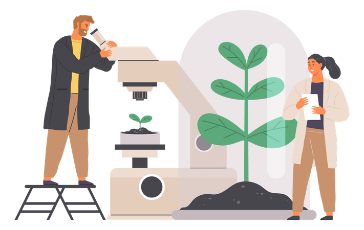 Biologist studies plant cell with microscope  Illustration