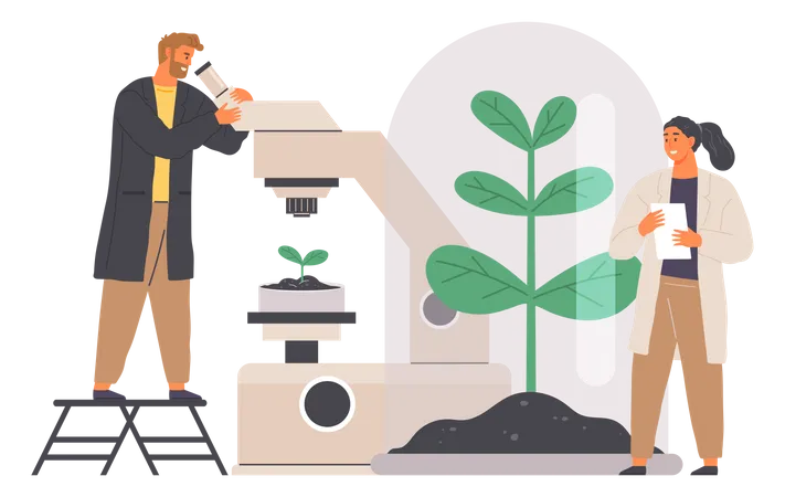 Biologist studies plant cell with microscope  Illustration