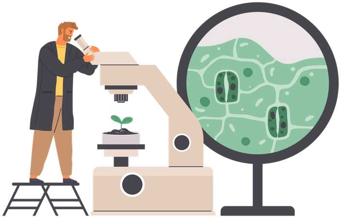Biologist Studies Plant  Illustration