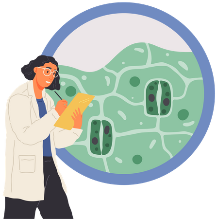 Biologist studies structure of plant cell  Illustration