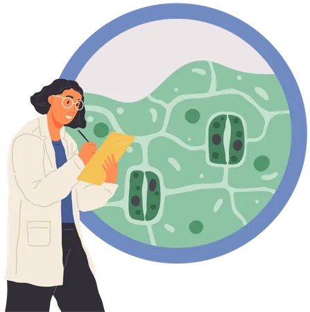 Biologist studies structure of plant cell  Illustration