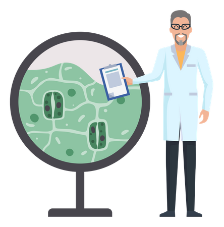Biologists study structure of plant cell  Illustration