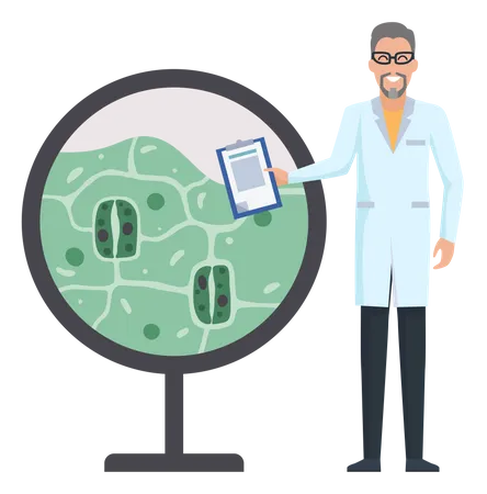 Biologists study structure of plant cell  Illustration