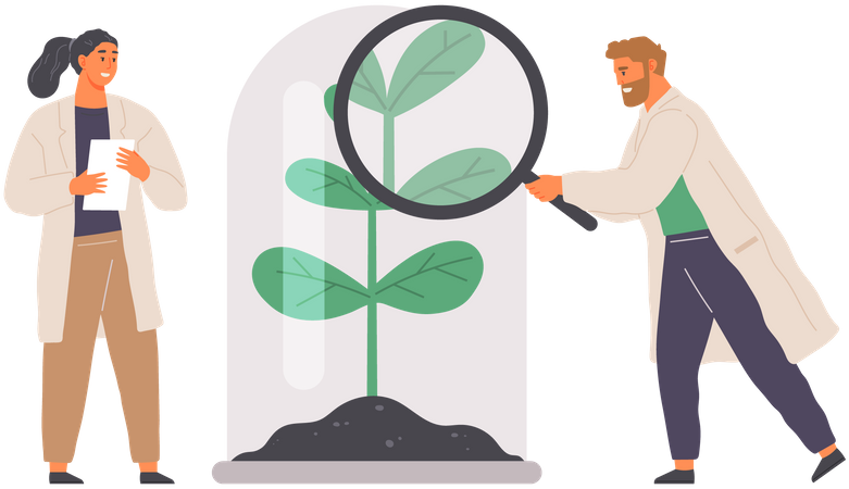 Biologists Study Structure Of Plant  Illustration