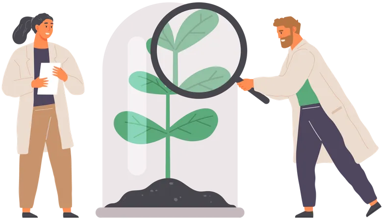 Biologists Study Structure Of Plant  Illustration