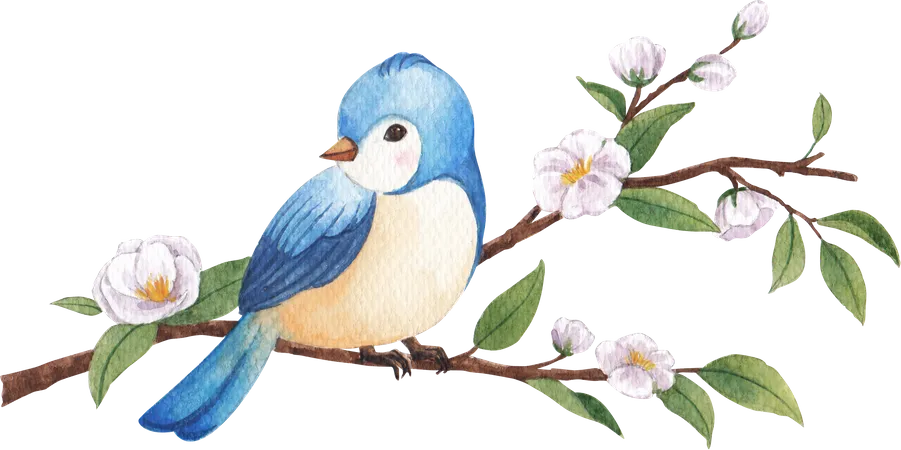 Bird Watercolor イラスト