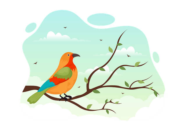Bird  Illustration