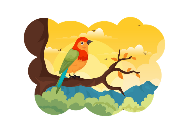 Bird  Illustration