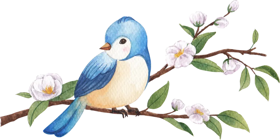 Bird  Illustration