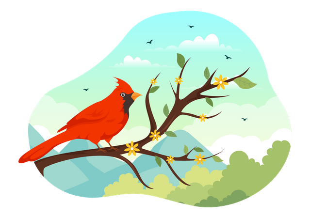 Bird  Illustration