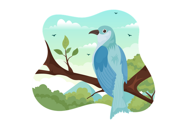 Bird  Illustration