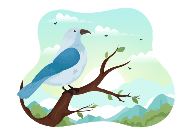 Bird  Illustration