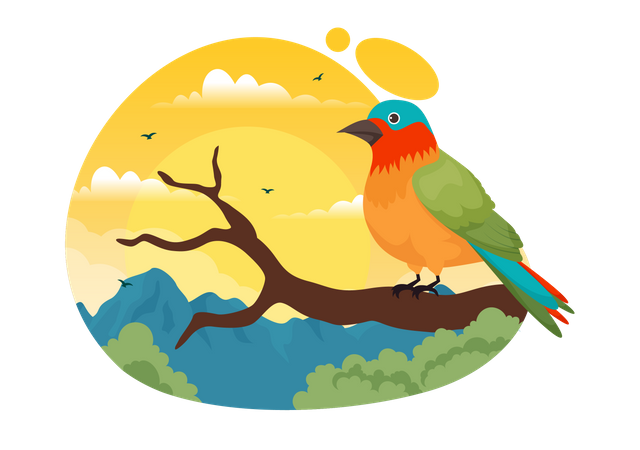 Bird  Illustration