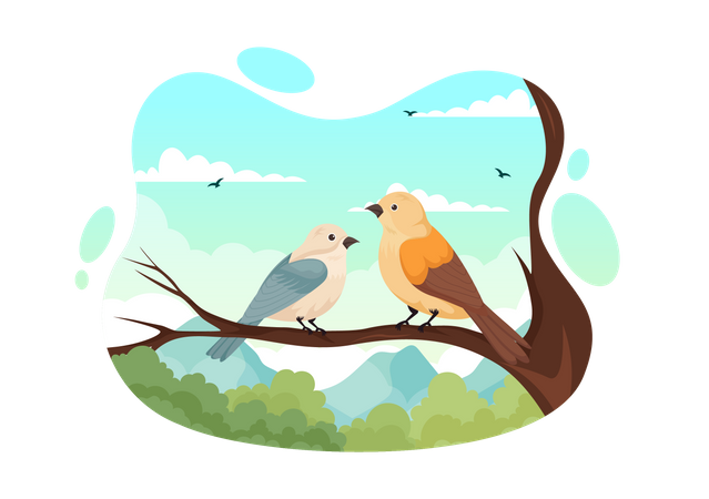 Bird  Illustration