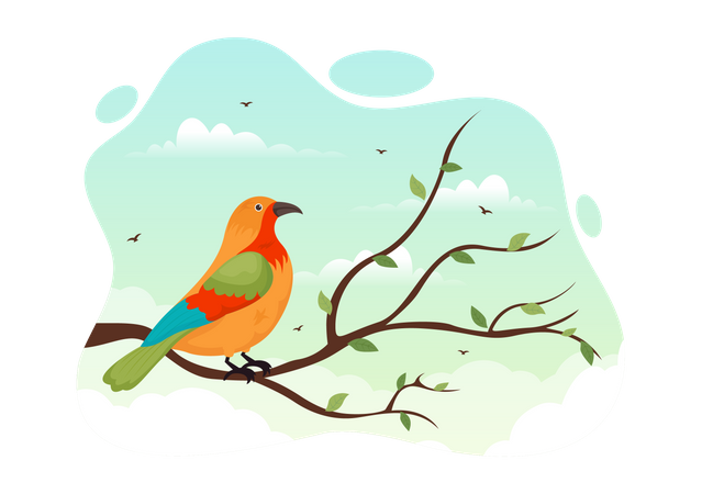 Bird  Illustration