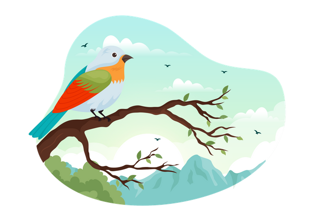 Bird  Illustration
