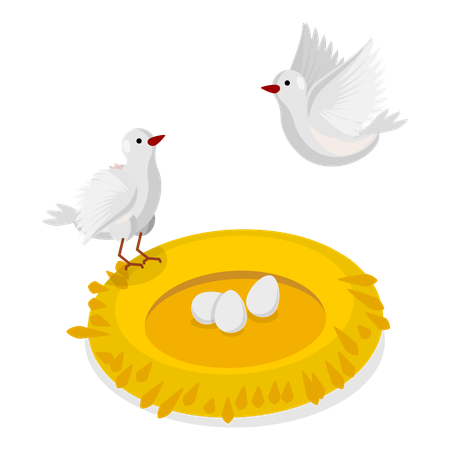 Bird parents with eggs in nest  Illustration