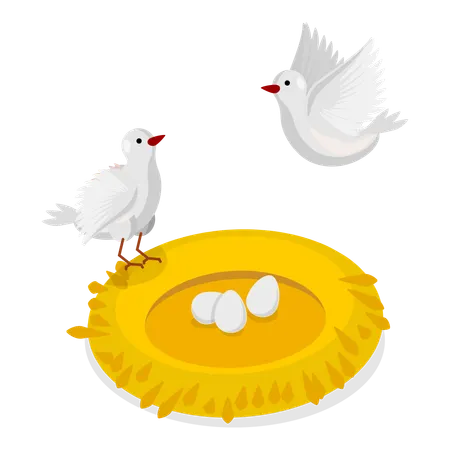 Bird parents with eggs in nest  Illustration