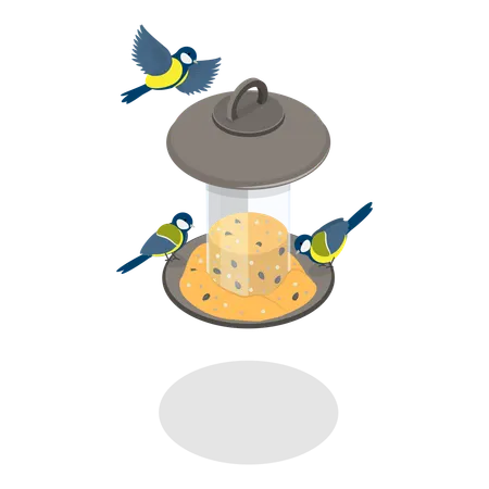 Birdhouse with Seeds  Illustration