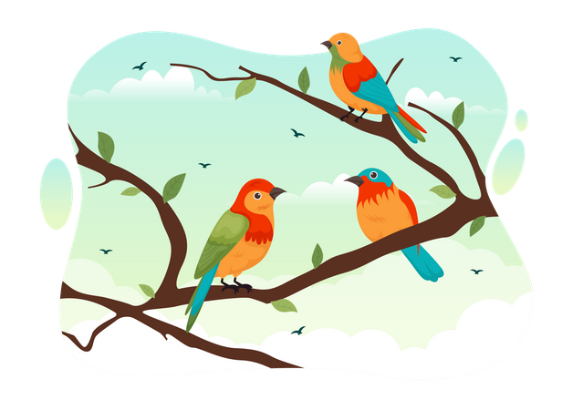 Birds  Illustration