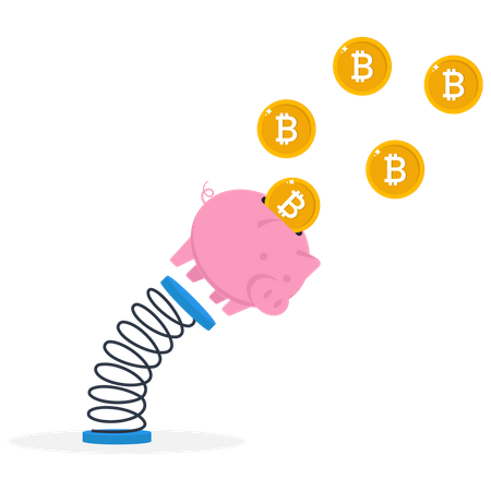 Bitcoin Investment risk  Illustration