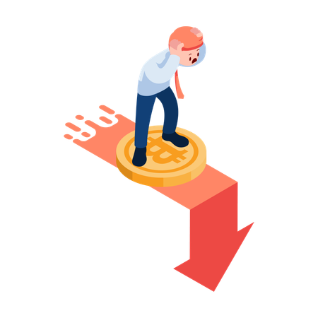Bitcoin Market Crash  Illustration