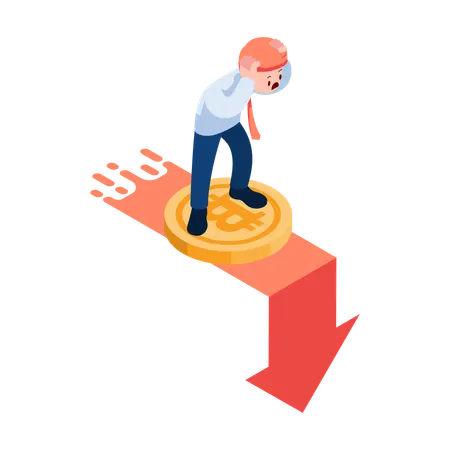 Bitcoin Market Crash  Illustration