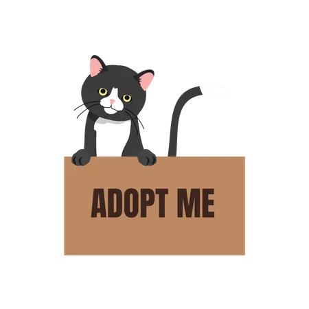 Black Cat in Box with 'Adopt Me' Sign  일러스트레이션