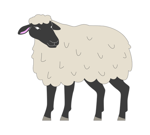 Black faced sheep standing  Illustration