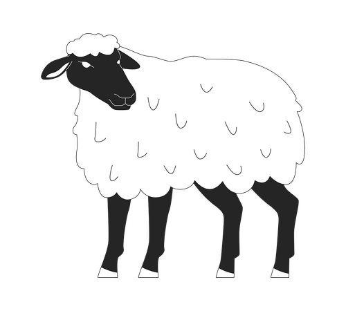 Black faced sheep standing  Illustration