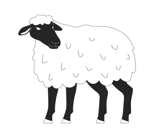 Black faced sheep standing  Illustration