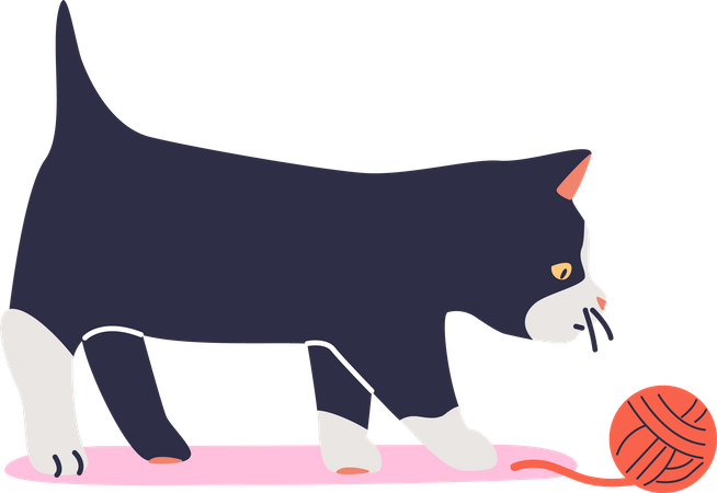 Black kitten play with ball of thread Illustration