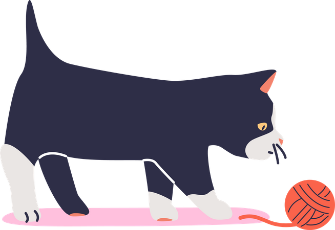 Black kitten play with ball of thread  Illustration