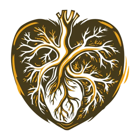 Blood Vessels  Illustration