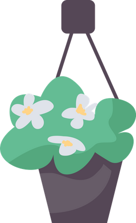 Blooming plant in hanging pot Illustration