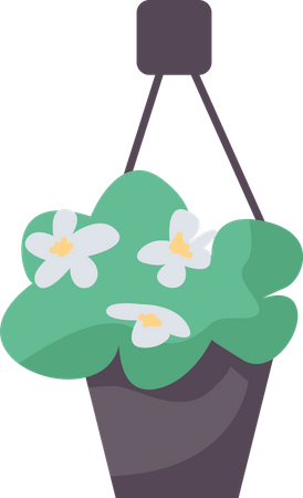 Blooming plant in hanging pot  Illustration