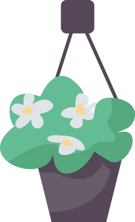 Blooming plant in hanging pot  Illustration