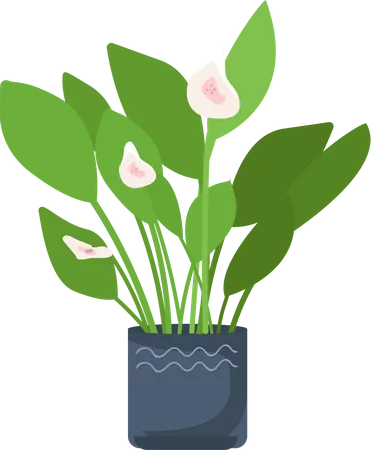 Blooming plant in pot Illustration