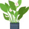 blooming plant pot illustration