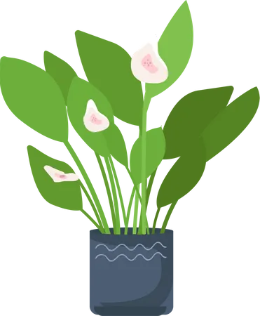 Blooming plant in pot  Illustration