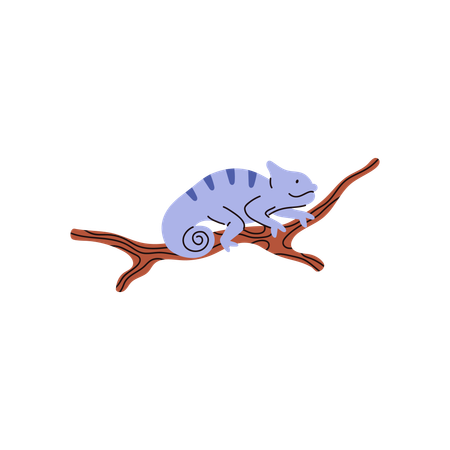 Blue iguana on branch  Illustration