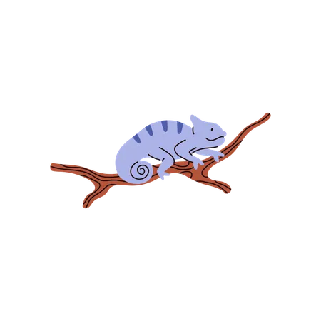 Blue iguana on branch  Illustration