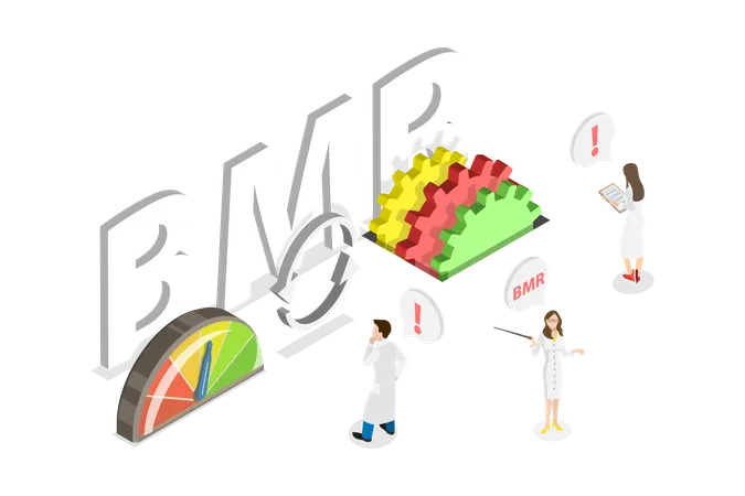 3 D Isometric Flat Vector Conceptual Illustration Of BMR Basal Metabolic Rate Illustration
