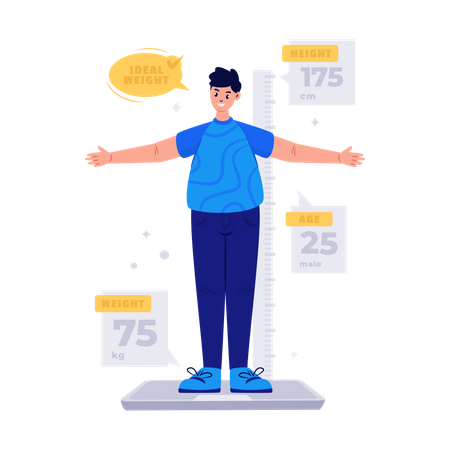 Body mass index calculator  Illustration