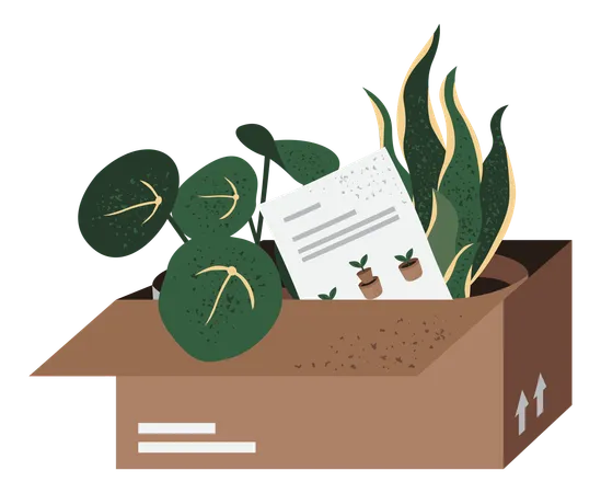 Boîte de livraison de plantes  Illustration